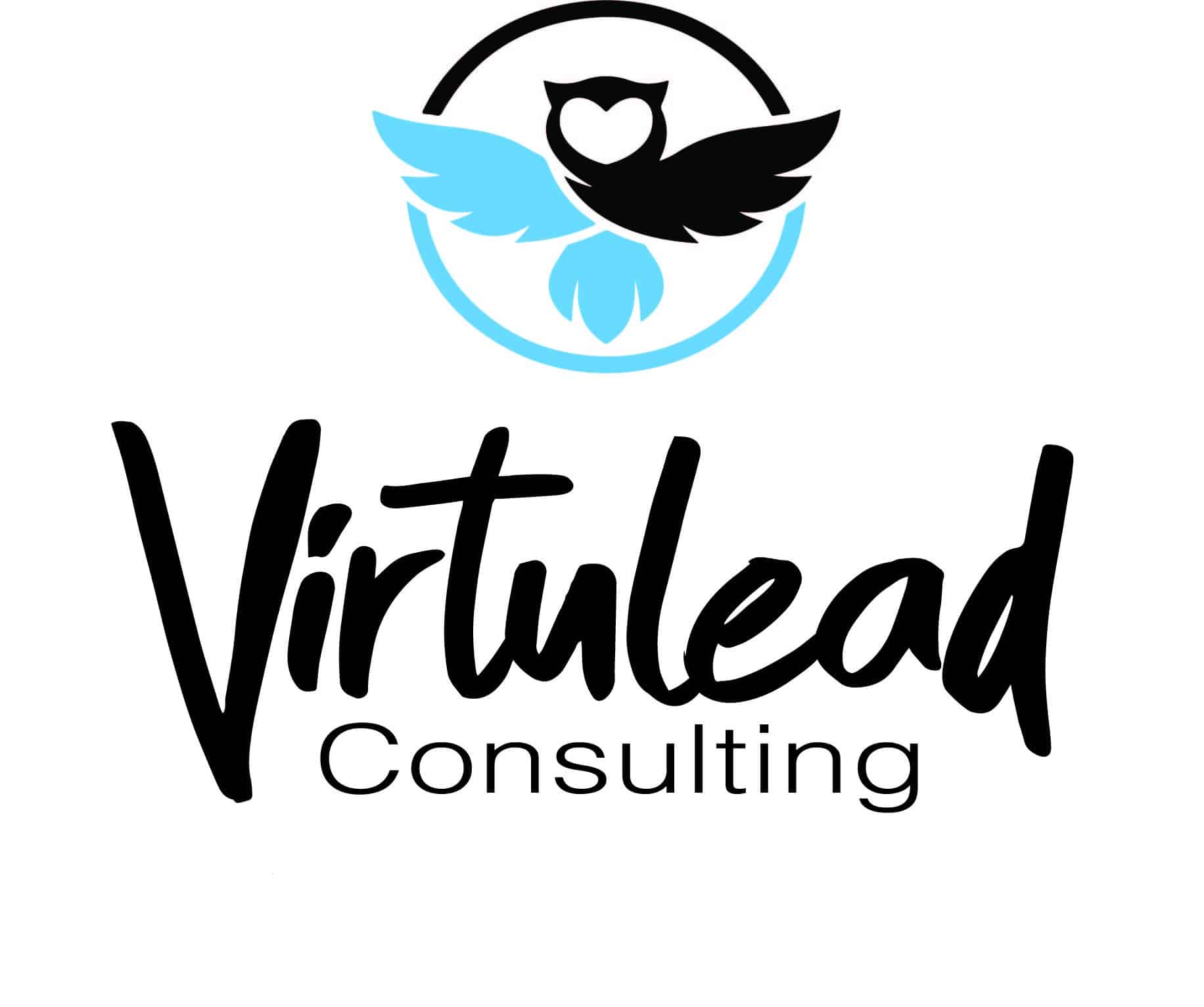 Virtulead-Logo2